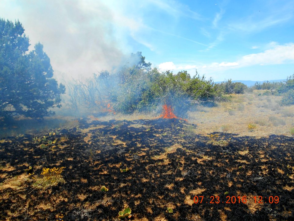 Point Fire, Sedona