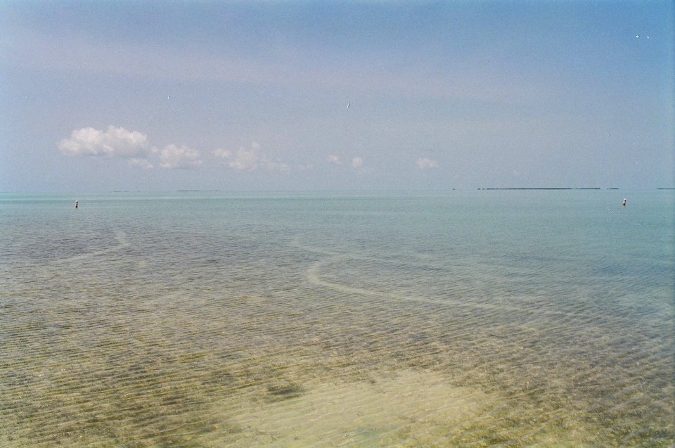 Prop Scars on Shallows in Florida Bay, NPSPhoto