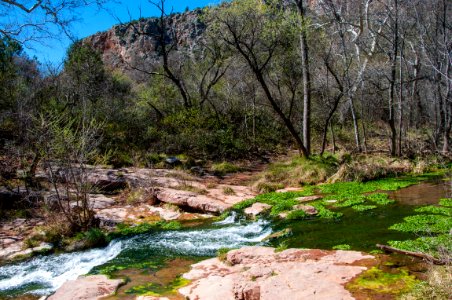 Fossil Springs