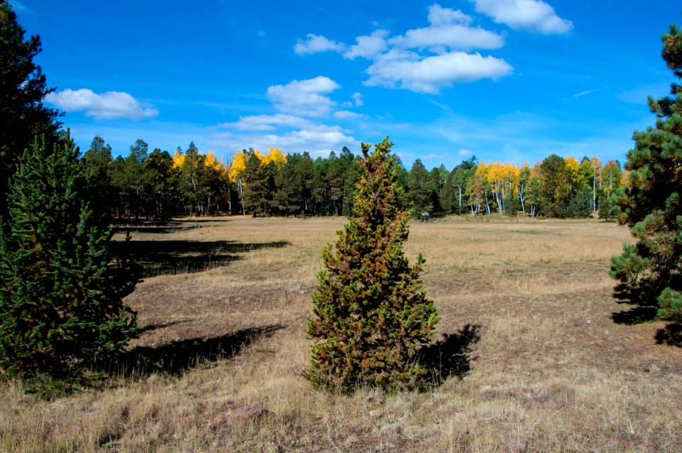 Around the Peaks Loop: Hart Prarie Road