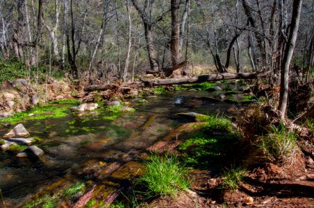Fossil Springs