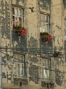 Flowers building brno