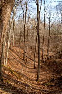 2019 Bacon Ridge History Hike 068