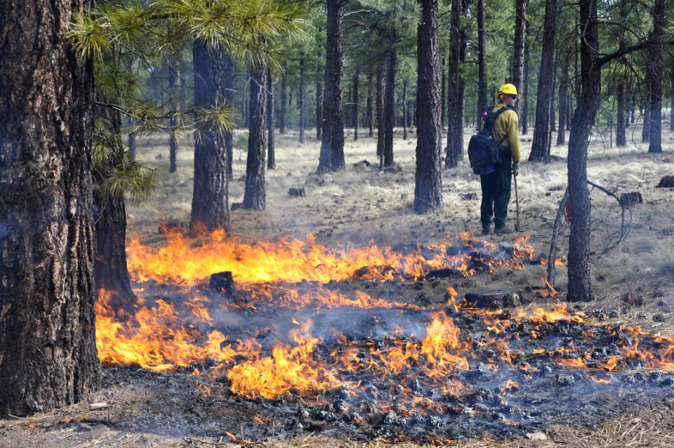 Woody Ridge Rx Burn 4-7-16