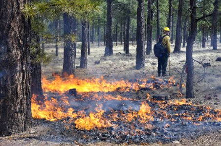 Woody Ridge Rx Burn 4-7-16