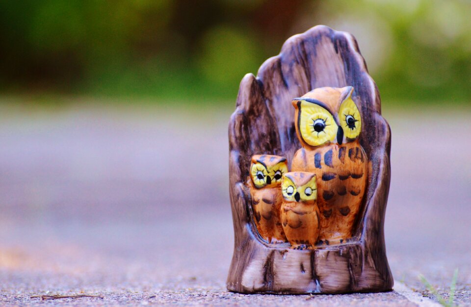 Sweet cute tree stump