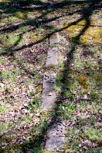 2018 Walk for the Woods Bacon Ridge Natural Area 483