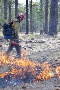 Woody Ridge Rx Burn 4-7-16