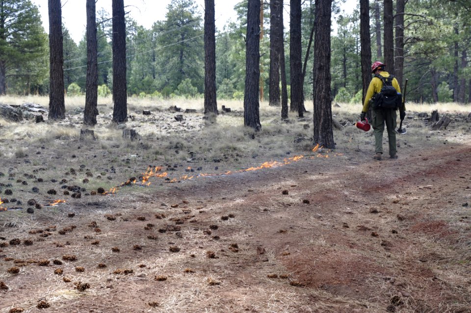 Woody Ridge Rx Burn 4-7-16