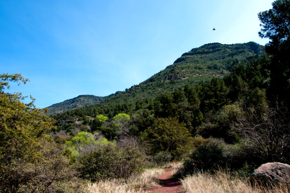 Waterfall Trail at Fossil Creek