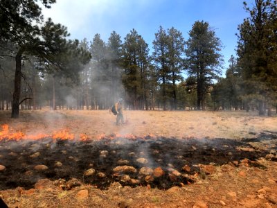 Horseshoe Project (April 21, 2017) photo