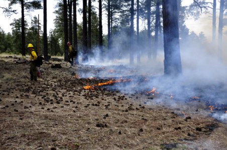 Woody Ridge Rx Burn 4-7-16