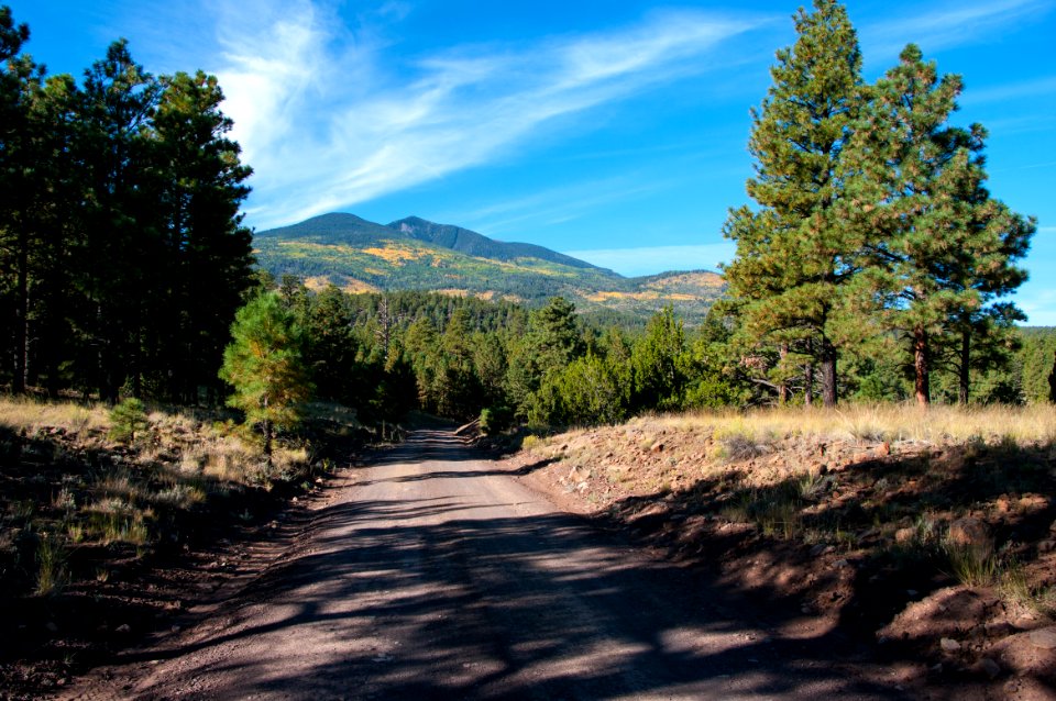 Around the Peaks Loop: FR 418