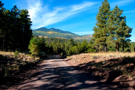 Around the Peaks Loop: FR 418