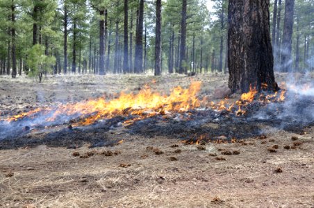 Woody Ridge Rx Burn 4-7-16