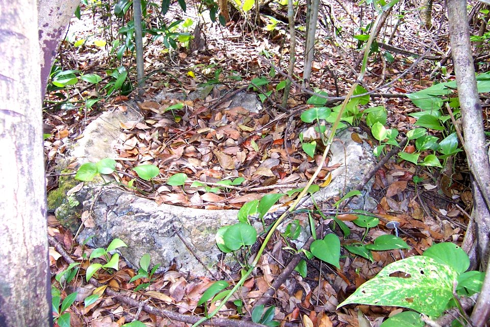 CCC area at Royal Palm, NPSPhoto (1)