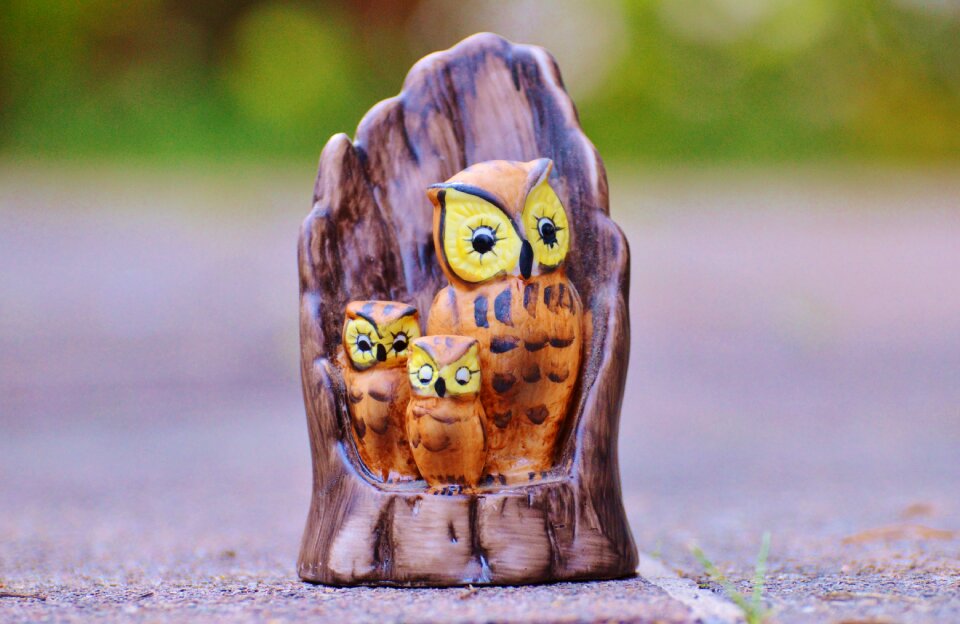 Sweet cute tree stump