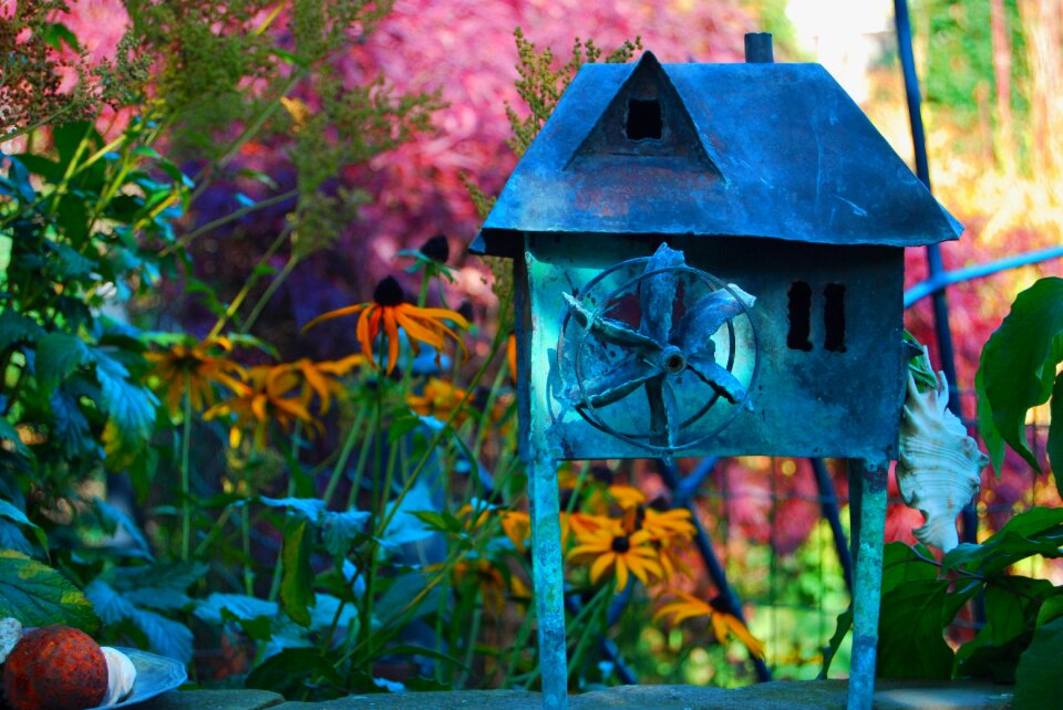 Windmill garden colorful