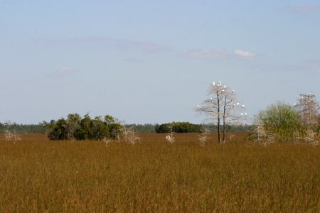 Everglades, 3, NPSPhoto, R. Cammauf.jpg