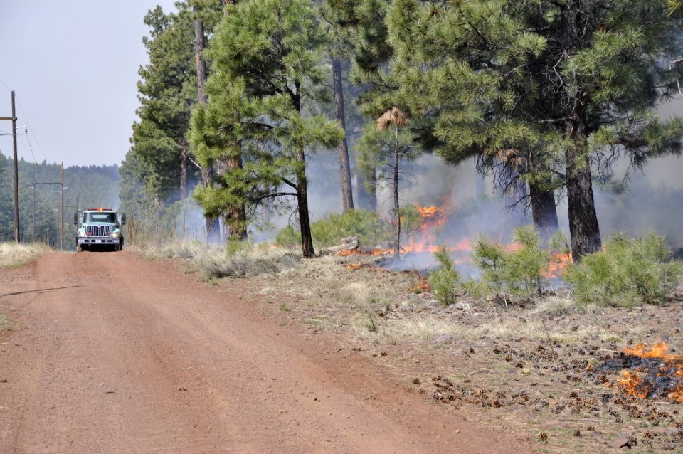 Woody Ridge Rx Burn 4-7-16