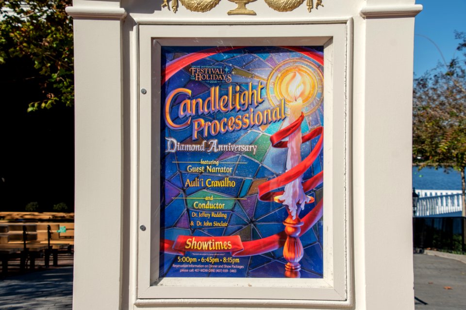 DSC 6355