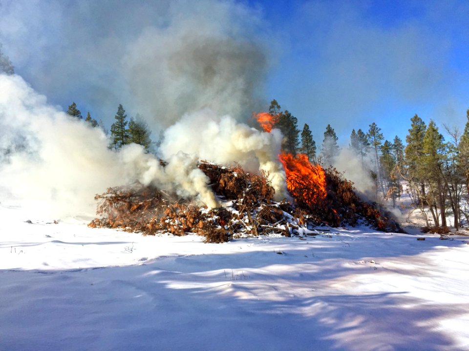 Pile burning slash from a timber sale