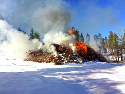Pile burning slash from a timber sale