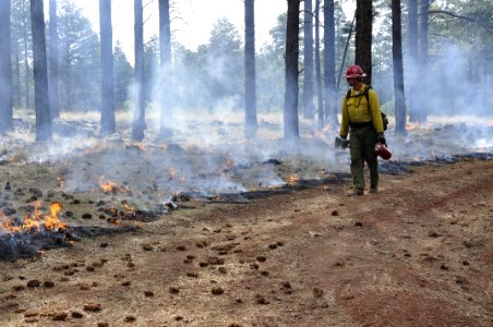 Woody Ridge Rx Burn 4-7-16