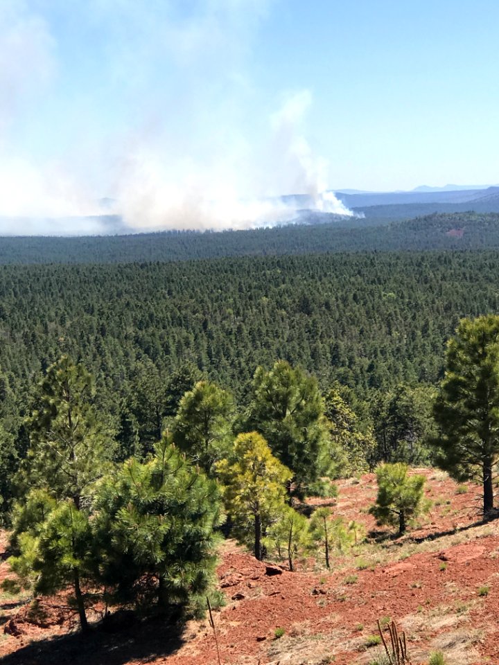 Snake Ridge Fire (May 27, 2017)