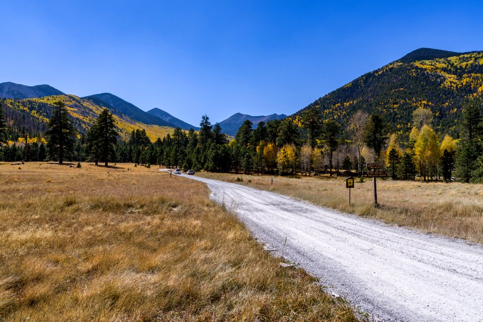 Lockett Meadow (October 4, 2017)