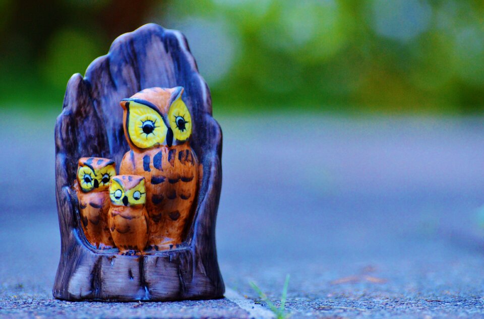 Sweet cute tree stump