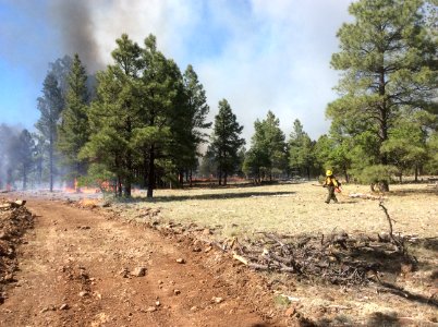 Jack Fire (June 7, 2016)