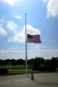 Flag at half mast in honor of Senator McCain