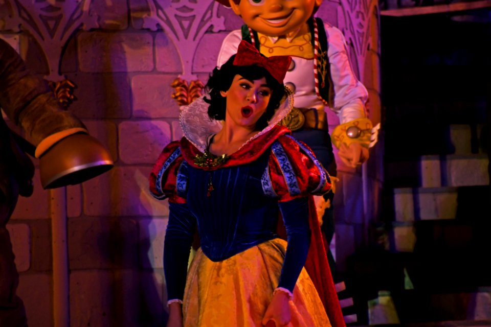DSC 4324