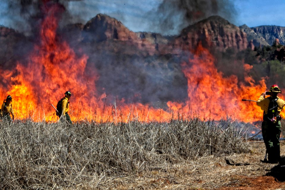 Wildland Fire Training at Crescent Moon