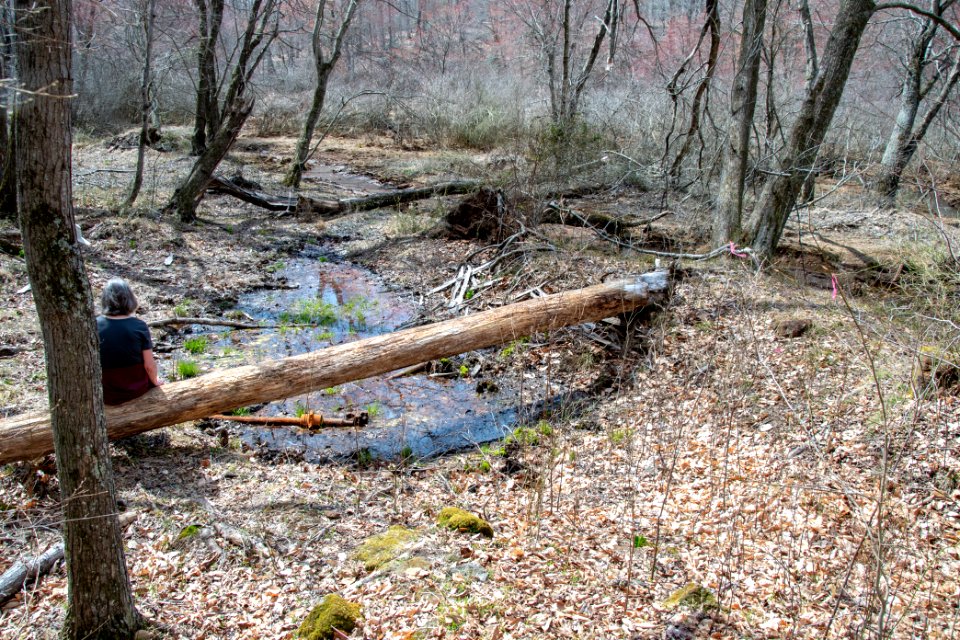 2019 Bacon Ridge History Hike 156