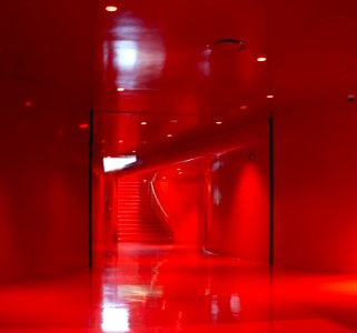 red level seattle library