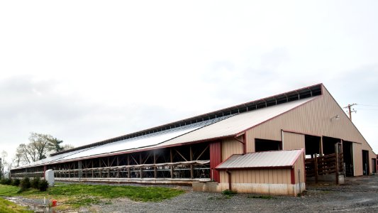 20110419-RD-LSC-0774