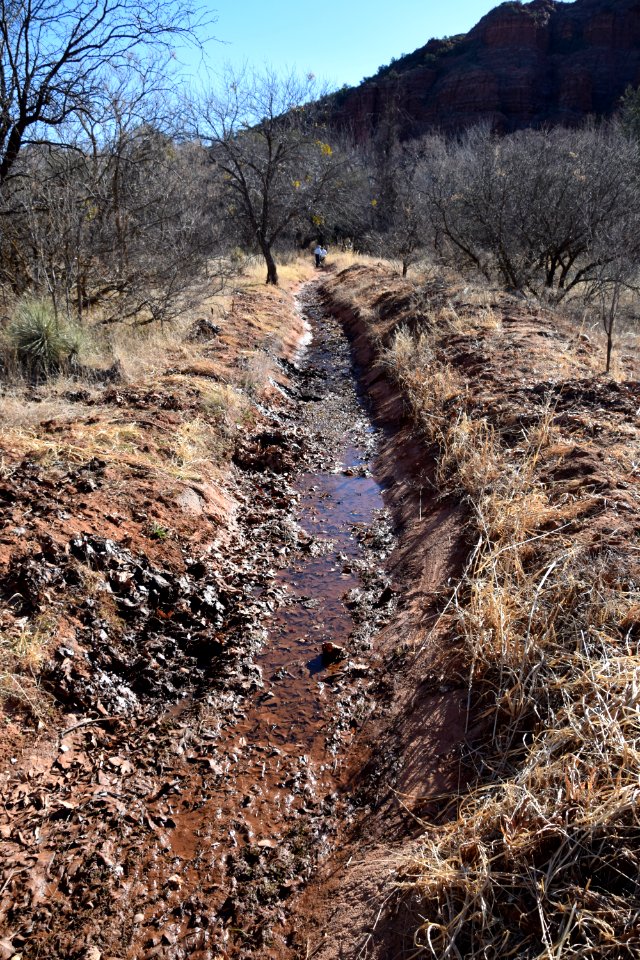 Youth Conservation Education Project at Crescent Moon Ranch