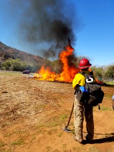 Wildland Fire Training at Crescent Moon