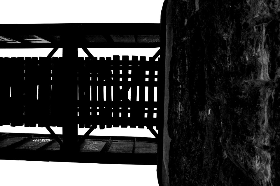 Black and Light
