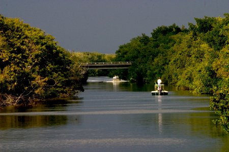 Buttonwood Canal, NPSPhoto, Rodney Cammauf (1)
