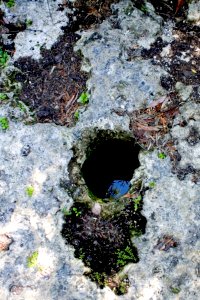 Solution Hole (2), NPSPhoto, R. Cammauf