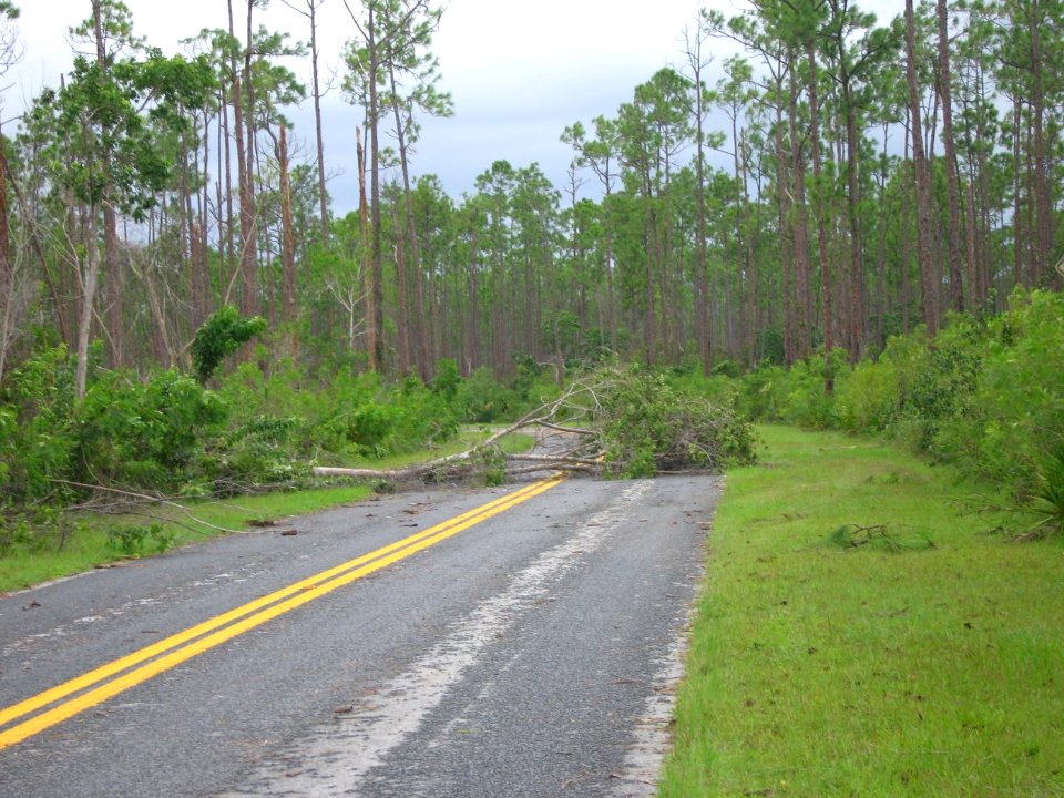 Hurricane Katrina & Wilma 2005 (12), NPSPhoto