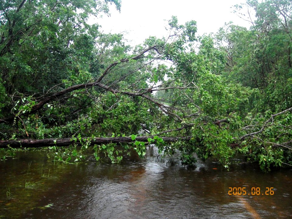 Hurricane Katrina & Wilma 2005 (14), NPSPhoto
