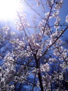 IMG 20150324 125321