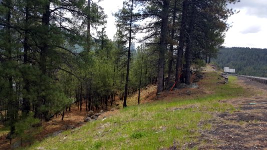 Cowboy Fire (May 18, 2016)
