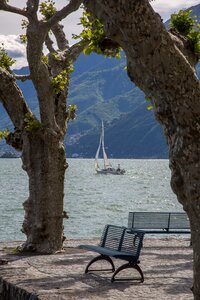 Lago maggiore vacations sailing boat photo
