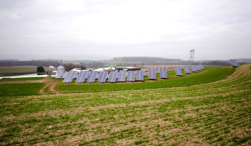 20110420-RD-LSC-0772