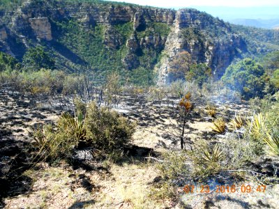 Point Fire, Sedona
